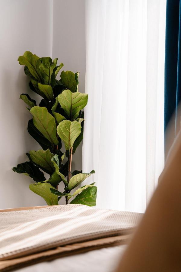 Appartement Margaret Luxury